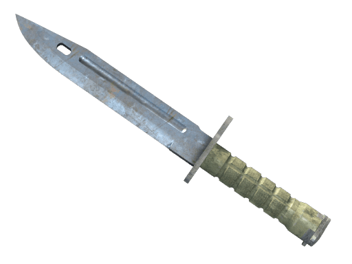 ★ Bayonet | Rust Coat