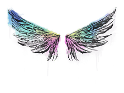 Wings