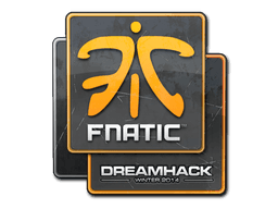 Fnatic | DreamHack 2014