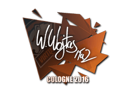 TaZ | Cologne 2016