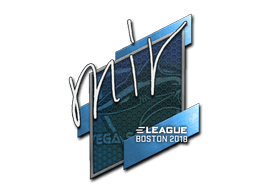 mir | Boston 2018