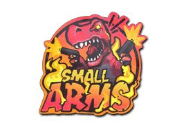 Small Arms
