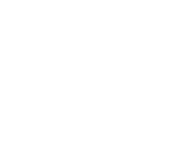 BitSkins
