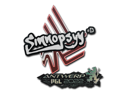 sinnopsyy | Antwerp 2022