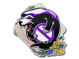 Outsiders | Rio 2022