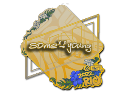 sdy | Rio 2022