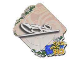 CeRq | Rio 2022