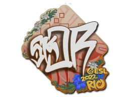 sk0R | Rio 2022